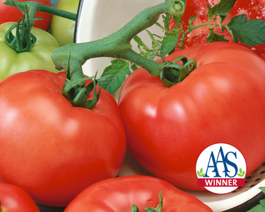 Chef's™ Choice Red Hybrid Tomato Seeds